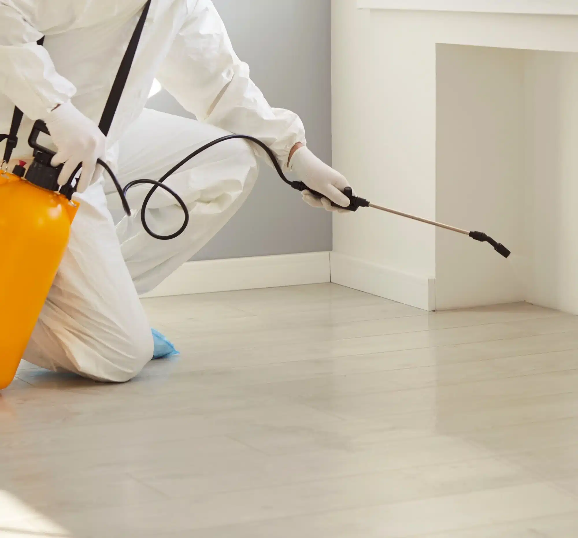 Professionnel en combinaison blanche pulvérise un traitement de désinsectisation des plinthes. Utilisation d'un réservoir dorsal orange.